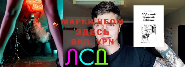стафф Баксан