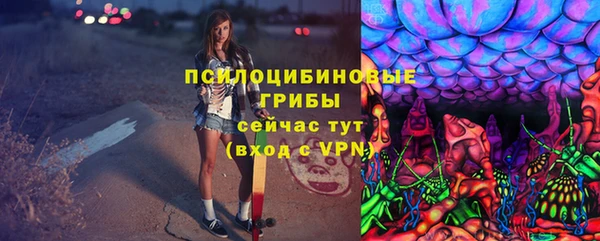 стафф Баксан