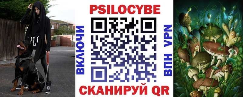 Галлюциногенные грибы Psilocybe  Туран 